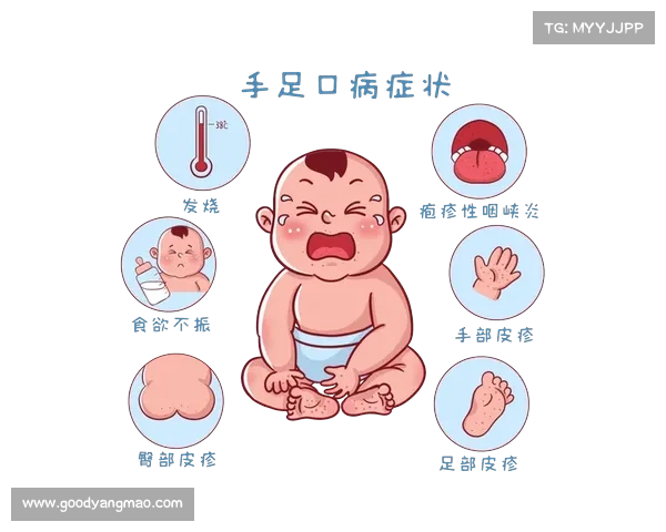 疑似传染病接诊治疗指南 疑似传染病接诊治疗指南