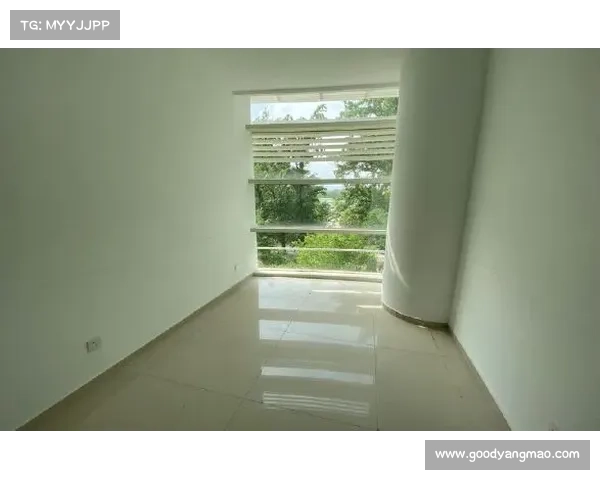 都市筑梦家:指尖打造摩天大厦 都市筑梦家:指尖打造摩天大厦