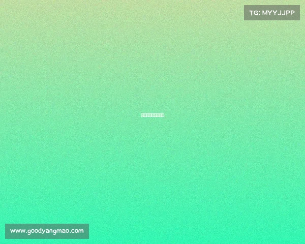 中国电子竞技队夺冠