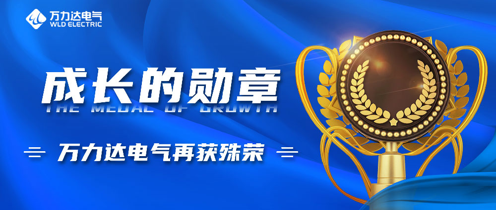 成长的勋章！壹定发电气再获殊荣